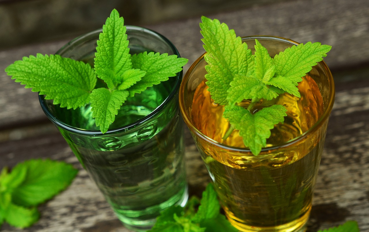 lemon-balm-770051_1280